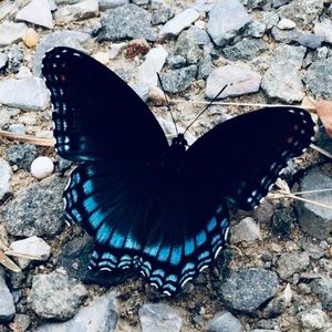 Meet your Posher, Ava